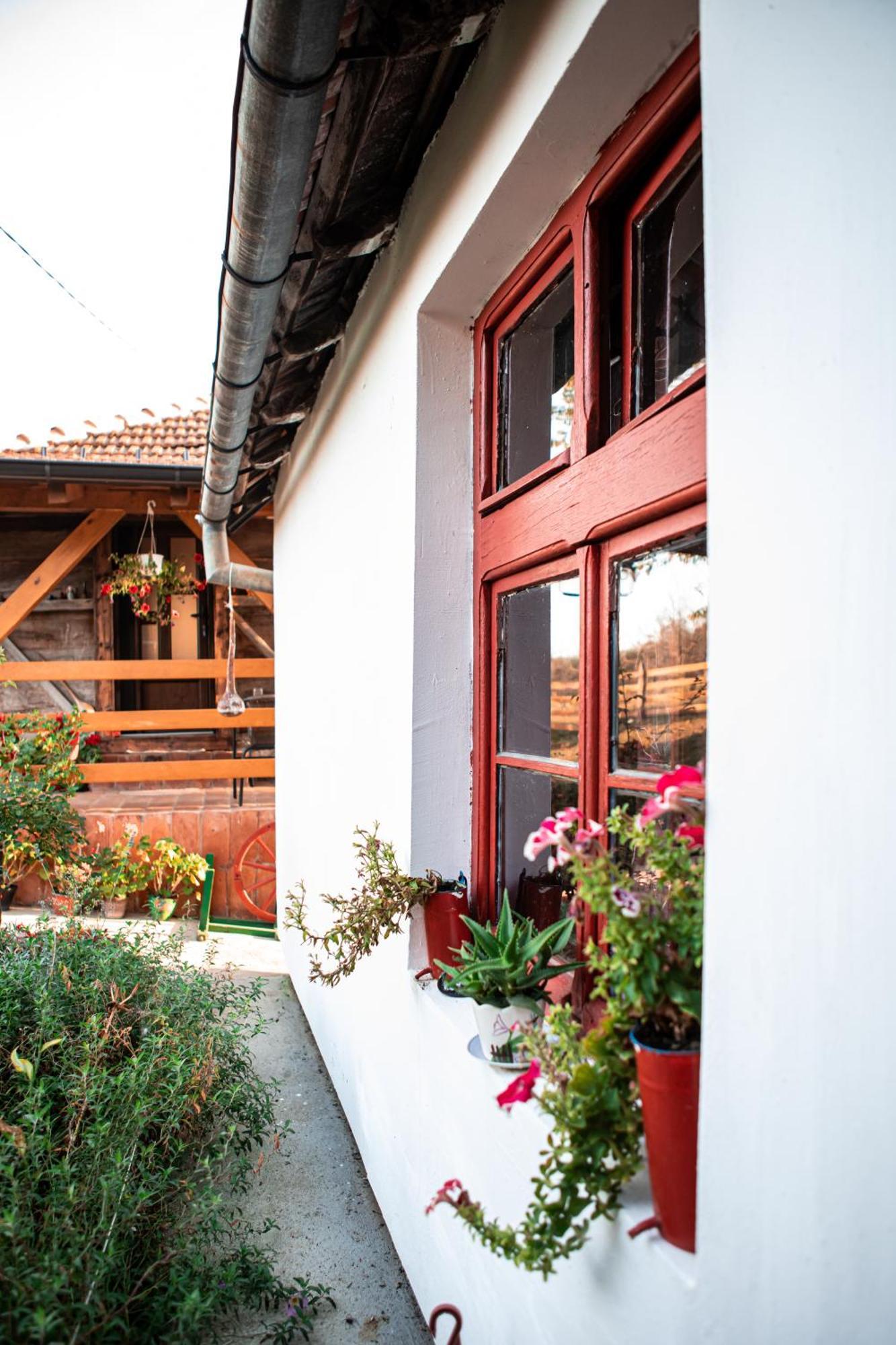 Prenociste Lelic Villa Valjevo Exterior foto
