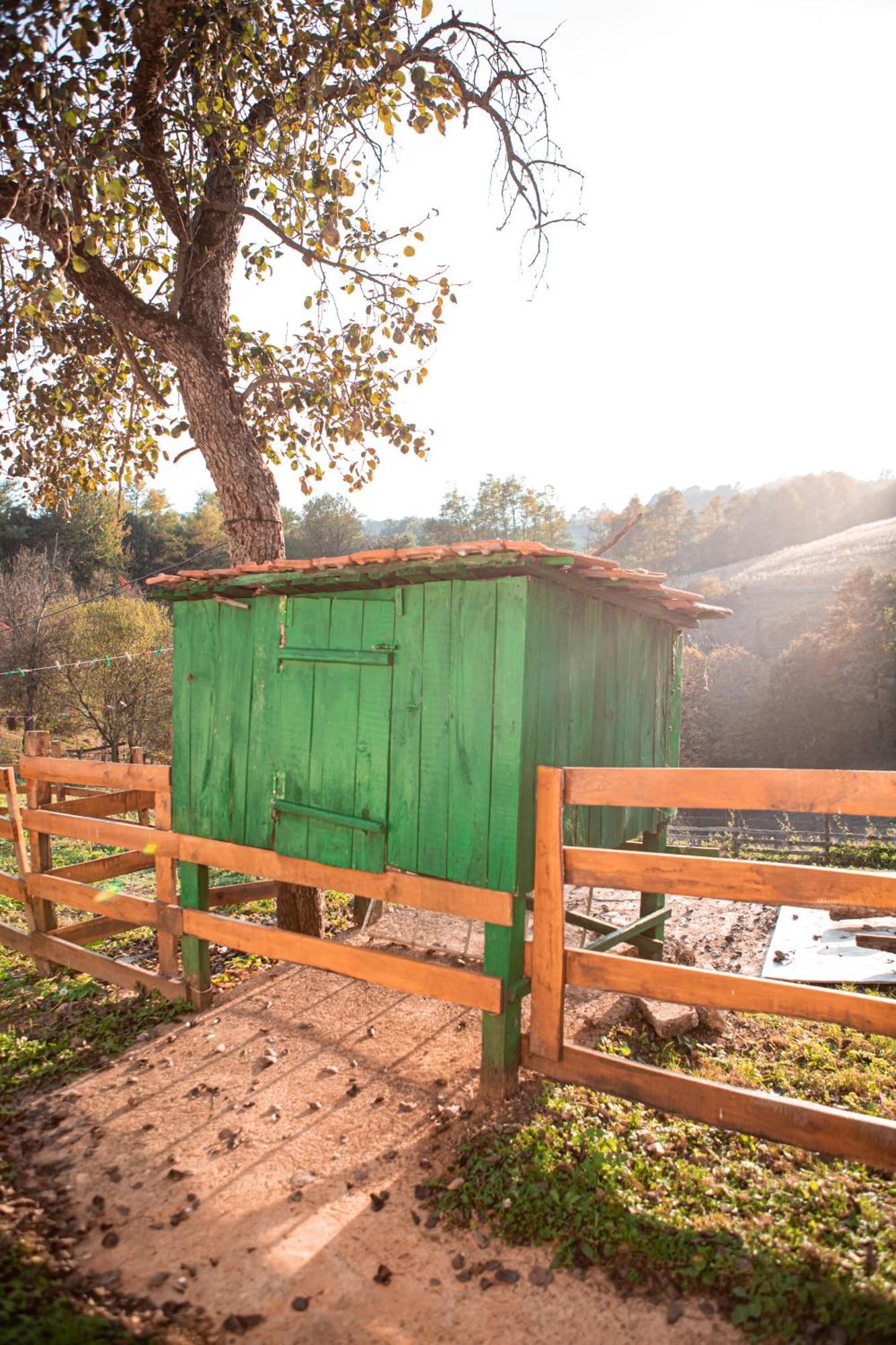 Prenociste Lelic Villa Valjevo Exterior foto