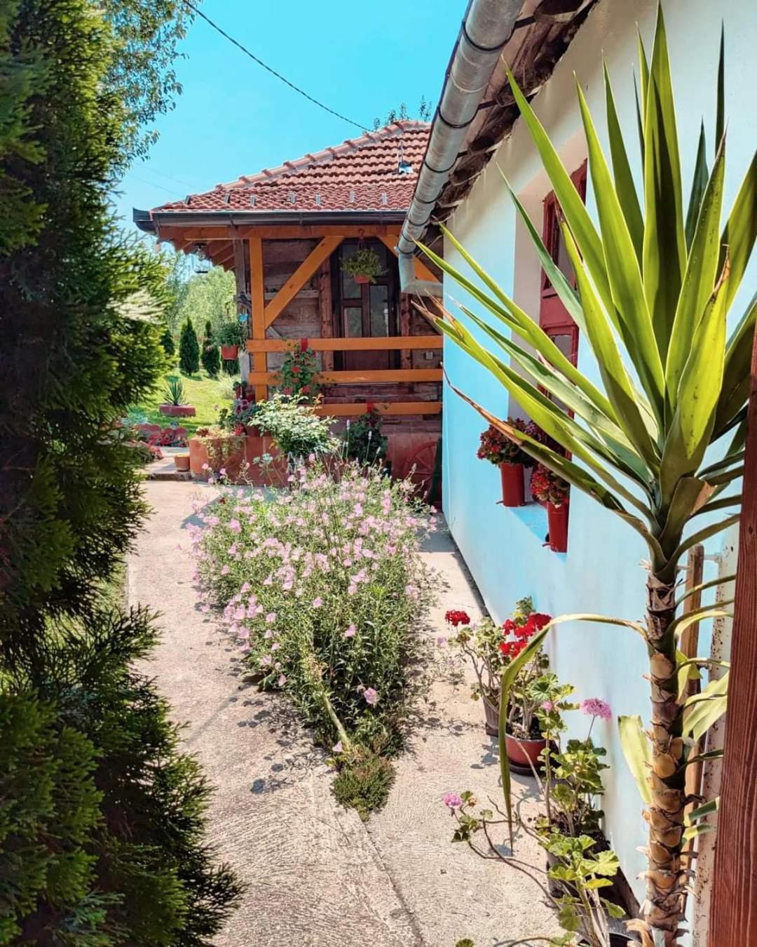 Prenociste Lelic Villa Valjevo Exterior foto